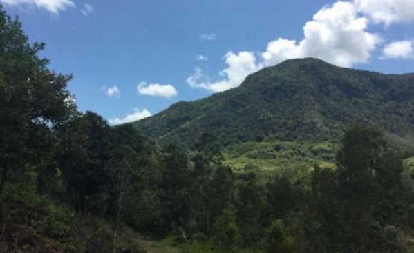 MOST Beautiful Hikes in Mauritius