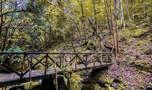Beautiful Hikes in Mauritius